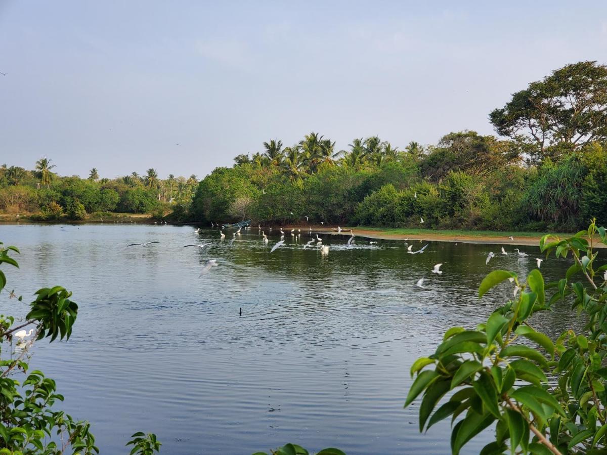 Villa Céu Ceylon Tangalle Esterno foto